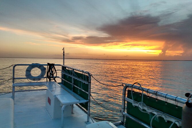1.5 Hour Bay Side Key Largo Sunset Cruise on a Spacious Catamaran - Key Largo from the bay and mangrove edges