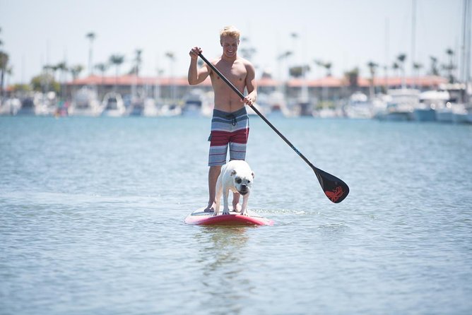 1.5 Hour Paddle Board Rental with Instruction - Key points to know before you paddle