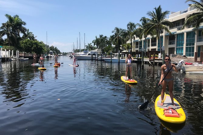 1.5 Hour Paddle Board Rental with Instruction - Why Millionaire Row looks different from a paddleboard