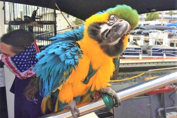 1-Hour Interactive Pirate Cruise (arrive 30 minutes early) - Key points to know before sailing