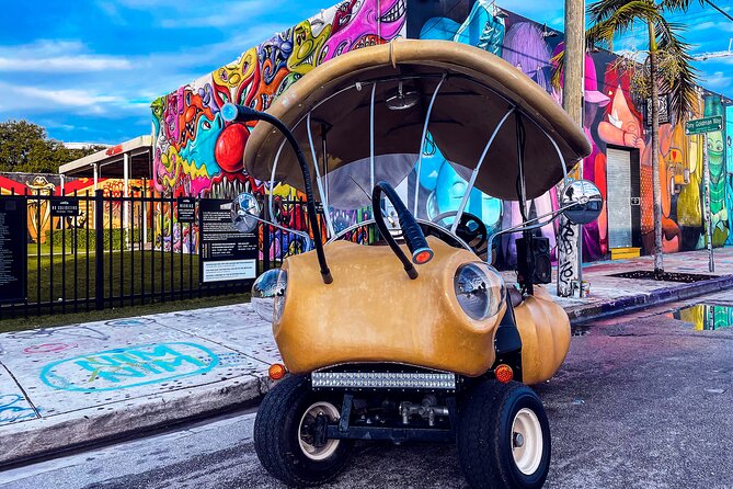 1 Hour Lady Buggy Art Tour Experience in Wynwood - The 20-minute stop at Wynwood Walls