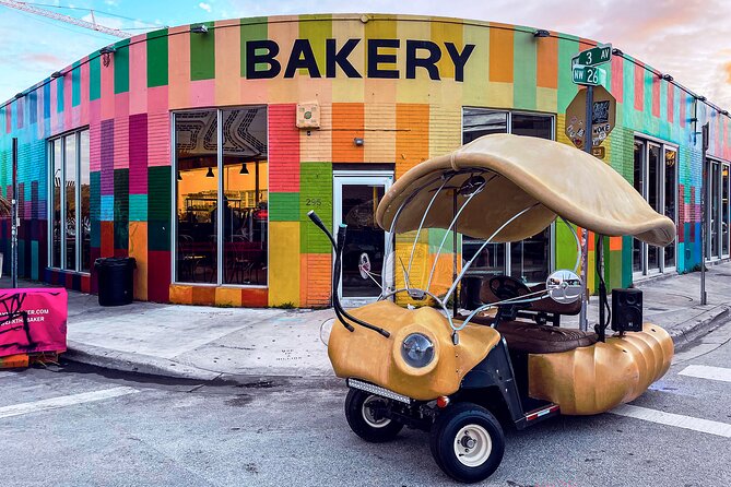 1 Hour Lady Buggy Art Tour Experience in Wynwood - Who will enjoy this most