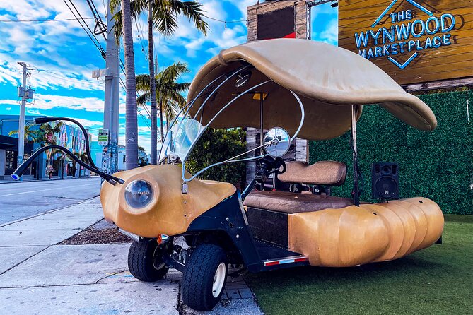1 Hour Lady Buggy Art Tour Experience in Wynwood - Starting at 2320 NW 2nd Avenue