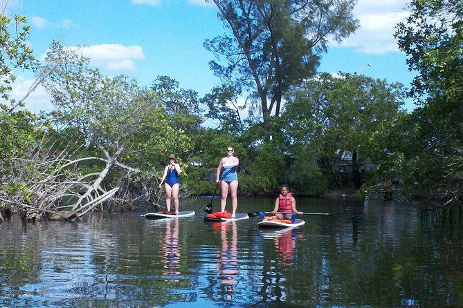 1 Hour Stand Up Paddle Board Lesson for Beginners with 1 on 1 Instructor Guide - Paddling close to shore and spotting marine life