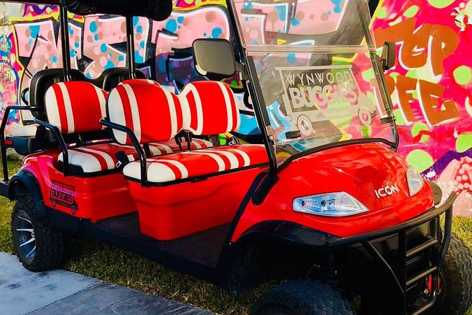 1 Hour WYNWOOD BUGGIES tour - The value of stops, questions, and photographs