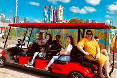 1 Hour WYNWOOD BUGGIES tour