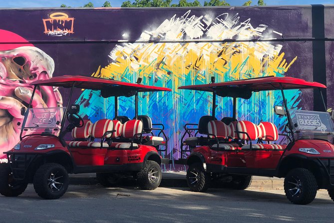 1 Hour WYNWOOD BUGGIES tour - Why the artist perspective adds value