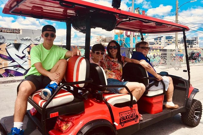 1 Hour WYNWOOD BUGGIES tour - Price, group size, and what you receive