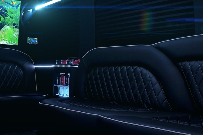 14 Passenger Luxury Sprinter Party Bus Ft Lauderdale 3 hour - What the driver adds to the experience