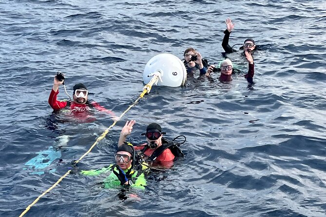 2 Dive Scuba Diving Reef Excursion to Key Largo Marine Sanctuary - Boat time, comfort, and group size