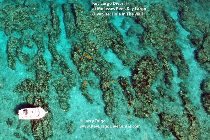 2 Dive Scuba Diving Reef Excursion to Key Largo Marine Sanctuary - What the $99 price really covers
