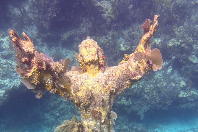 2 Dive Scuba Diving Reef Excursion to Key Largo Marine Sanctuary - Who will enjoy this outing most