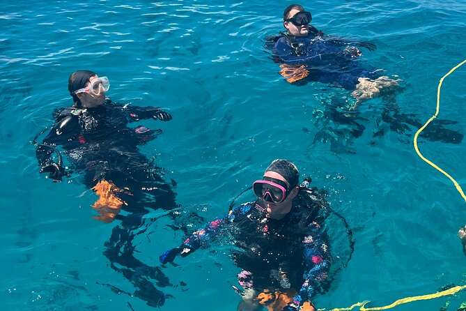 2 Dive Scuba Diving Reef Excursion to Key Largo Marine Sanctuary - Booking, timing, and cancellation advice