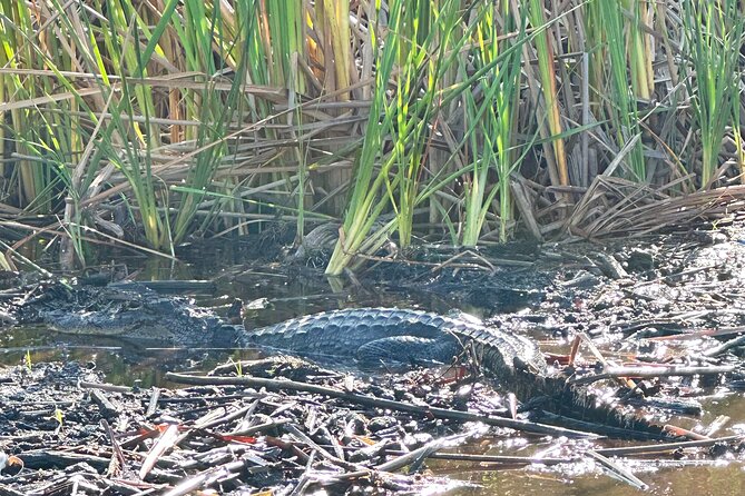 2 Hour Exclusive Everglades Airboat Safari - Is $250 per person good value?
