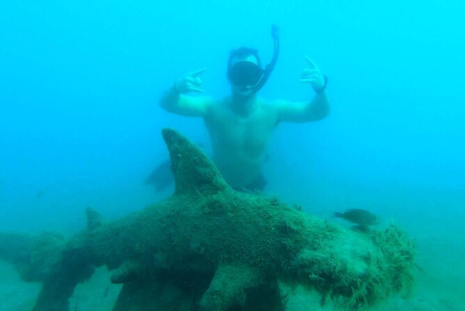 2 ½ - Hour Guided Snorkel Tour of Phil Foster park, Free Videos! - Searching for small creatures with Westin