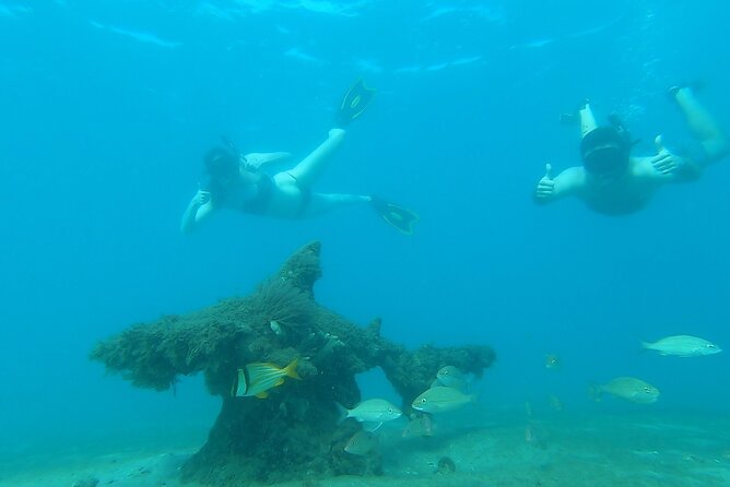 2 ½ - Hour Guided Snorkel Tour of Phil Foster park, Free Videos! - The first 15 to 20 minutes: learn before you swim