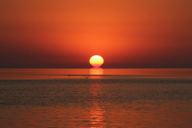 2 Hour Sunset Eco-Cruise - Boarding at 77522 Overseas Highway