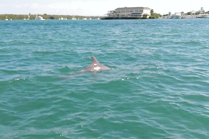 26 Ft Boat, Miami Bay Tour for 2 or 4 hours. 10 people - Picnic Island, Monument Island, and Marine Stadium