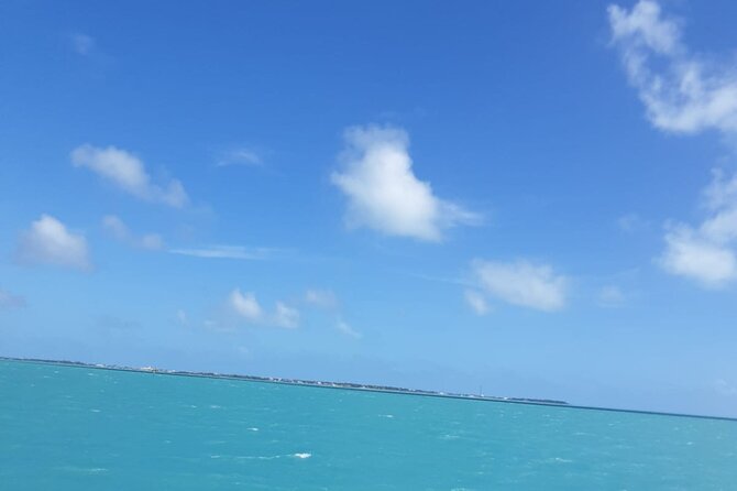 3-Day Florida: Miami Bus & Boat, Everglades & Key West Snorkeling - Day 1: South Beach, downtown, and the bay