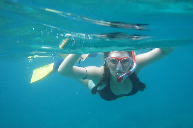 3 Hour Cruise & Swimming Excursion off Peanut Island Park - Peanut Island, with an important qualification