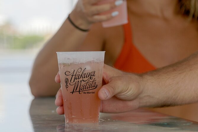 3 Hour Cruise & Swimming Excursion off Peanut Island Park - Drinks, snacks, and advance food orders