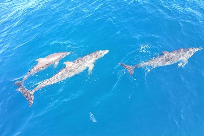 4-Hour Fort Lauderdale Sailing Charter - What the sailing lesson adds to the experience