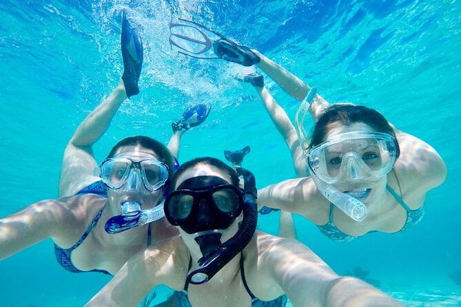 4 Hour Private Ecotour and Snorkeling Boat Tour - Key points at a glance