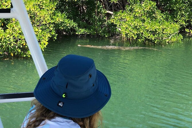 4 Hour Private Ecotour and Snorkeling Boat Tour - A stop at the Islamorada Sandbar