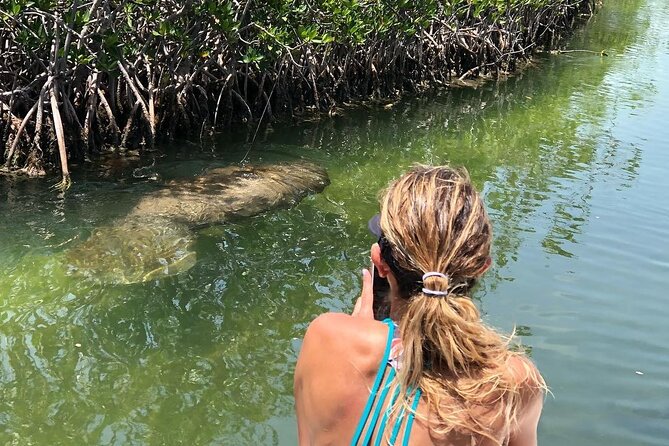 4 Hour Private Ecotour and Snorkeling Boat Tour - Captains who make the difference