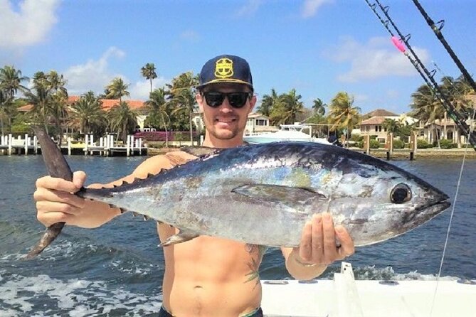 4-Hour Shared Big Game Deep Sea Fishing Charter in Fort Lauderdale - The wildlife beyond the fishing lines