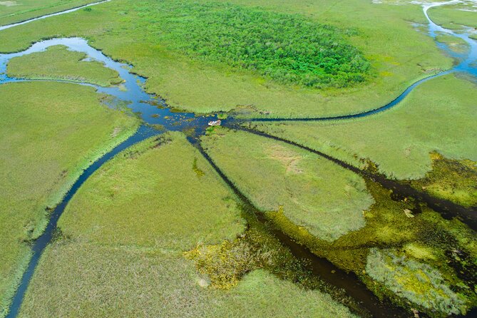 60 min. Everglades Airboat ride & pick-up ,small group +pro guide - What the $78 price really covers