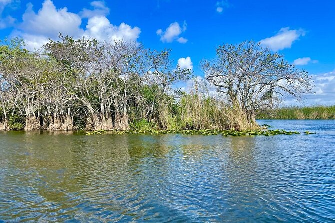 60 min. Everglades Airboat ride & pick-up ,small group +pro guide - Who will enjoy this Everglades outing most
