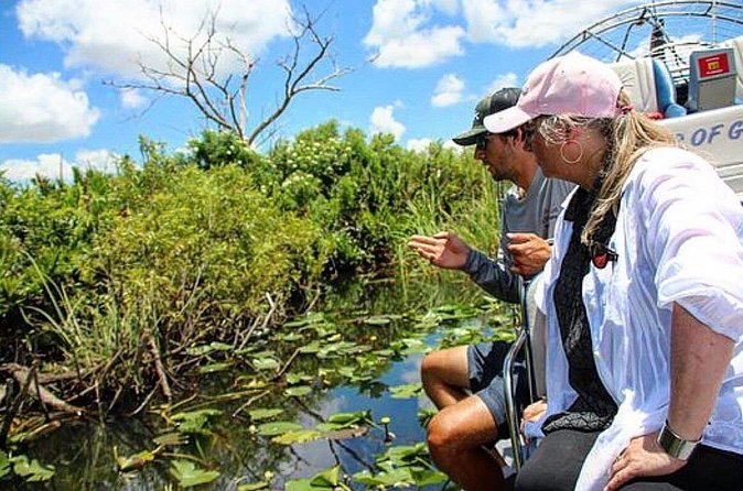 90 Minute Miami Everglades Semi Private Airboat Tour - Is $99 a fair price?