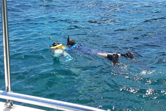 A Unique Private Snorkel Tour of Key Largo - Who should book this private snorkel tour