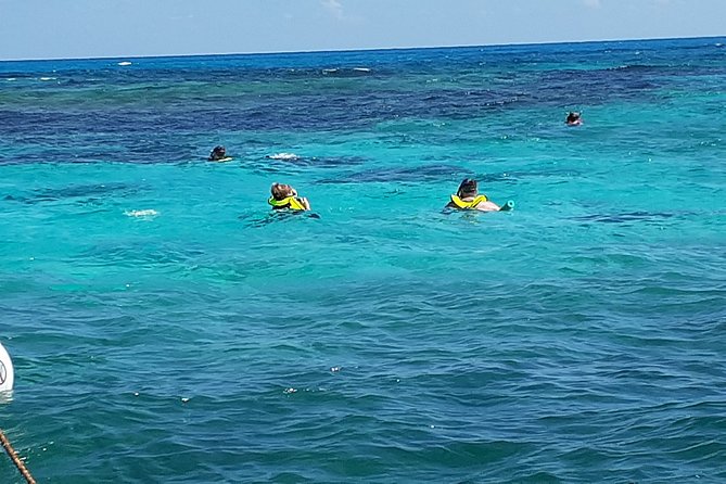 A Unique Private Snorkel Tour of Key Largo - Timing, weather, and practical planning