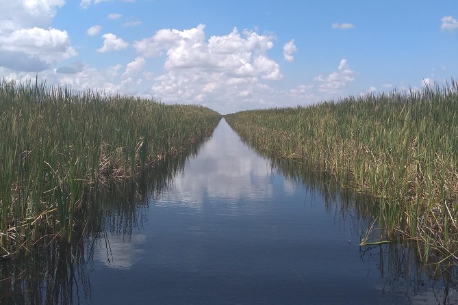 Air Boat Tour of Palm Beach in The Swamp Monster - Searching for alligators in their natural setting