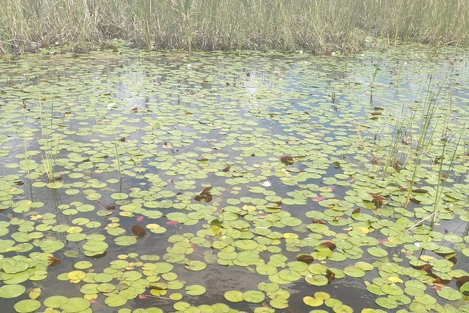 Air Boat Tour of Palm Beach in The Swamp Monster - Is $150 per person a fair price?