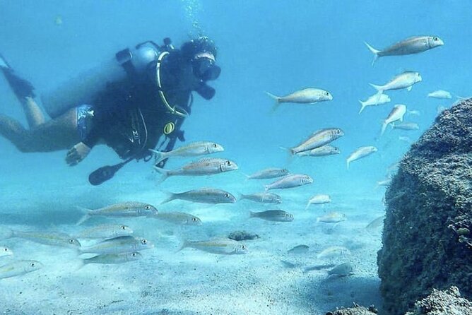 Beginner Scuba Diving Experience With Videos in West Palm Beach - Moving into the guided underwater tour
