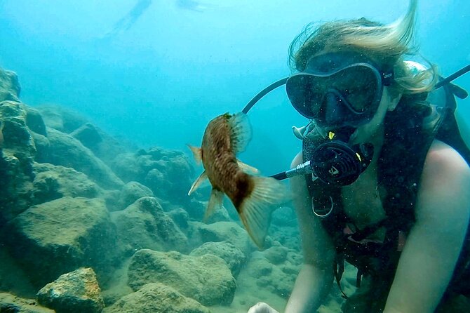 Beginner Scuba Diving Experience With Videos in West Palm Beach - Starting at 1976 Blue Heron Boulevard