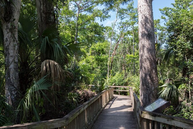 Big Cypress National Preserve Self Guided Driving Audio Tour - What this Big Cypress audio tour is really like
