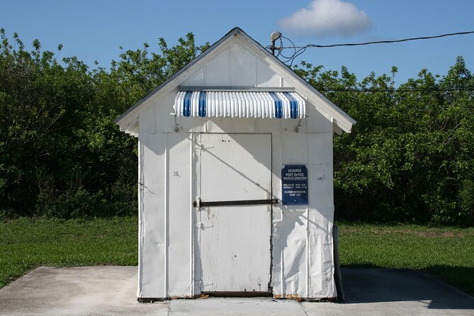 Big Cypress National Preserve Self Guided Driving Audio Tour - Tree Snail Hammock Trail: a tiny creature, short walk