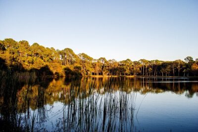 Big Cypress National Preserve Self Guided Driving Audio Tour