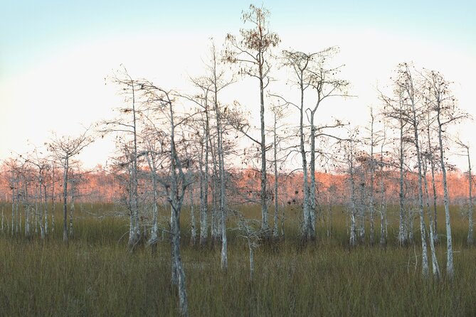 Big Cypress National Preserve Self Guided Driving Audio Tour - County Road 94 and the airport that never came
