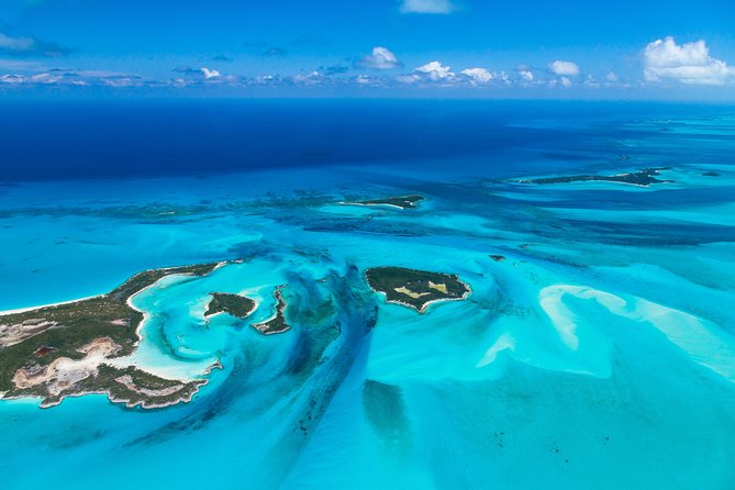 Bimini Day Cruise from Fort Lauderdale with Round-Trip Miami Transfer - Key points to know before you book