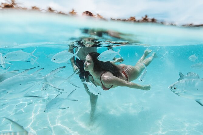 Bimini or Grand Bahama Island by Ferry - What the 12-hour schedule really gives you