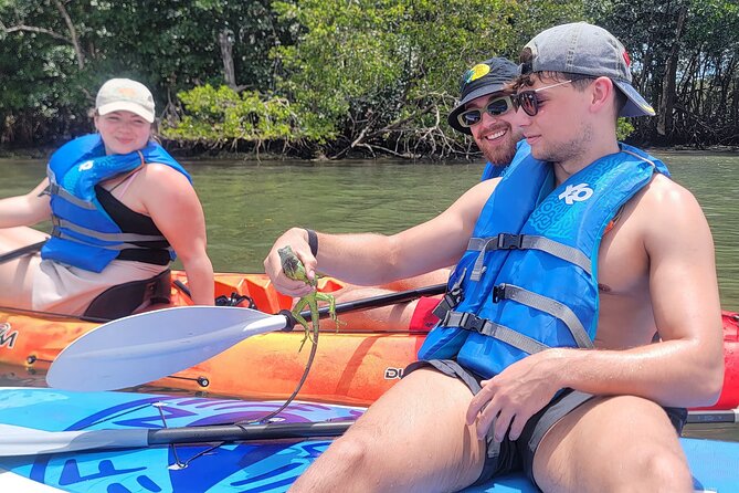 Biscayne Bay Island and Nature Exploration - Timing, weather, and what to bring