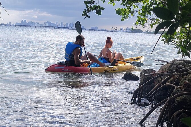Biscayne Bay Island and Nature Exploration - Paddling the mangrove tunnels