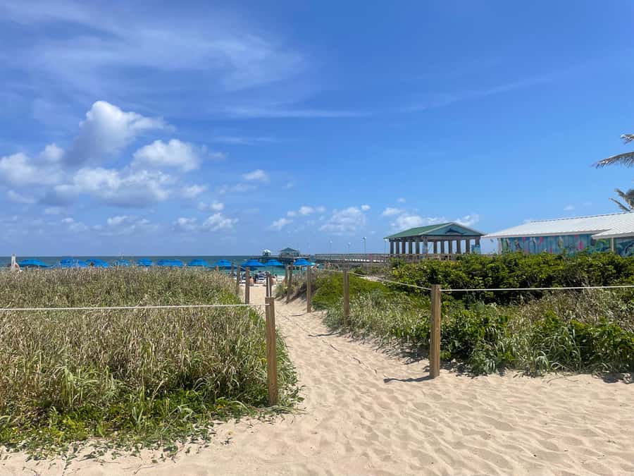 Bite of the Beach, a Lauderdale by the Sea Walking Food Tour - Key points to know before you book