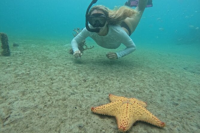 Blue Heron Bridge Guided Snorkel Tour - Gear, swimming ability, and physical demands