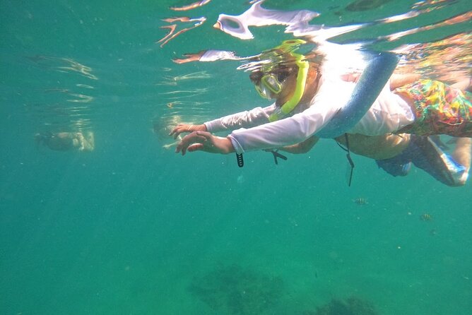 Blue Heron Bridge Guided Snorkel Tour - Best season and water conditions